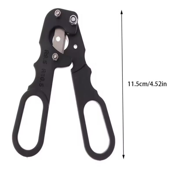 izobrazhenie_viber_2025-08-05_12-11-30-791